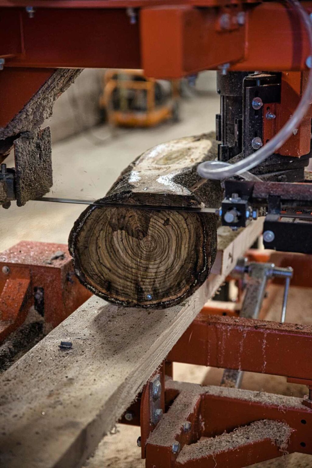 Sägespäne und Holzverwertung ab Werk Colditz