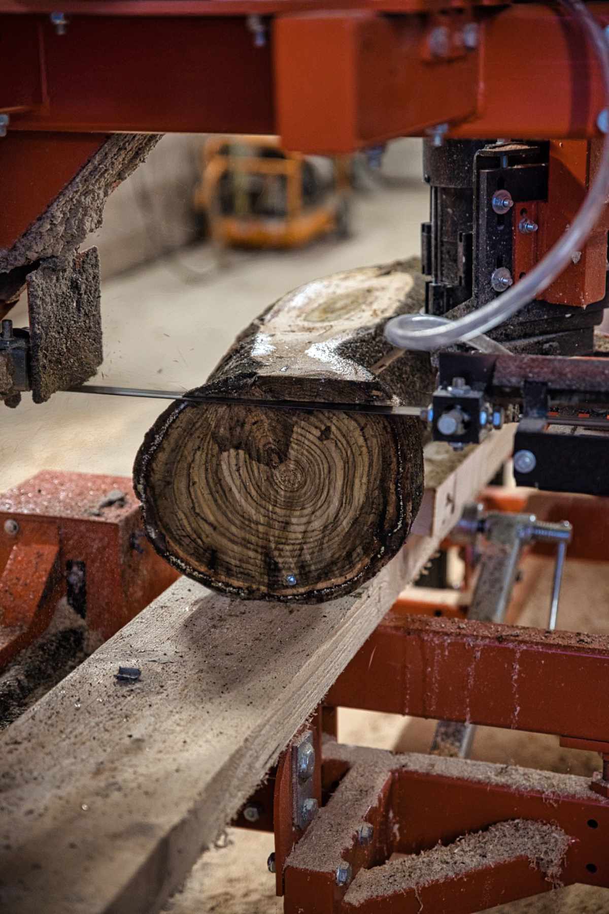 Ein Baumstamm wird von einer industriellen Sägemaschine bei Baugeschäft und Zimmerei Müller Colditz in Bretter geschnitten. Man sieht die kreisförmigen Ringe des Holzes und die Sägespäne, die um das Gerät herum verstreut sind.